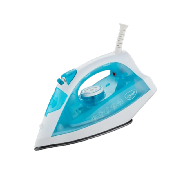 Steam Iron 110V-60Hz RAF-RB1246B-110 For Marine